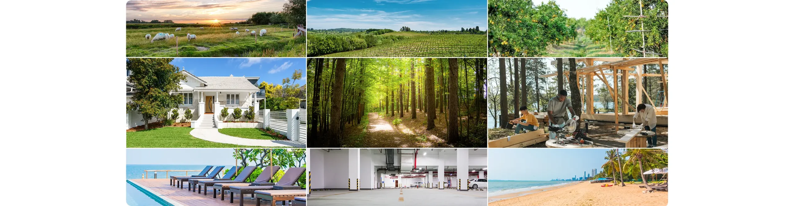 12470933-97e2-4da0-ba67-11614ce551e5